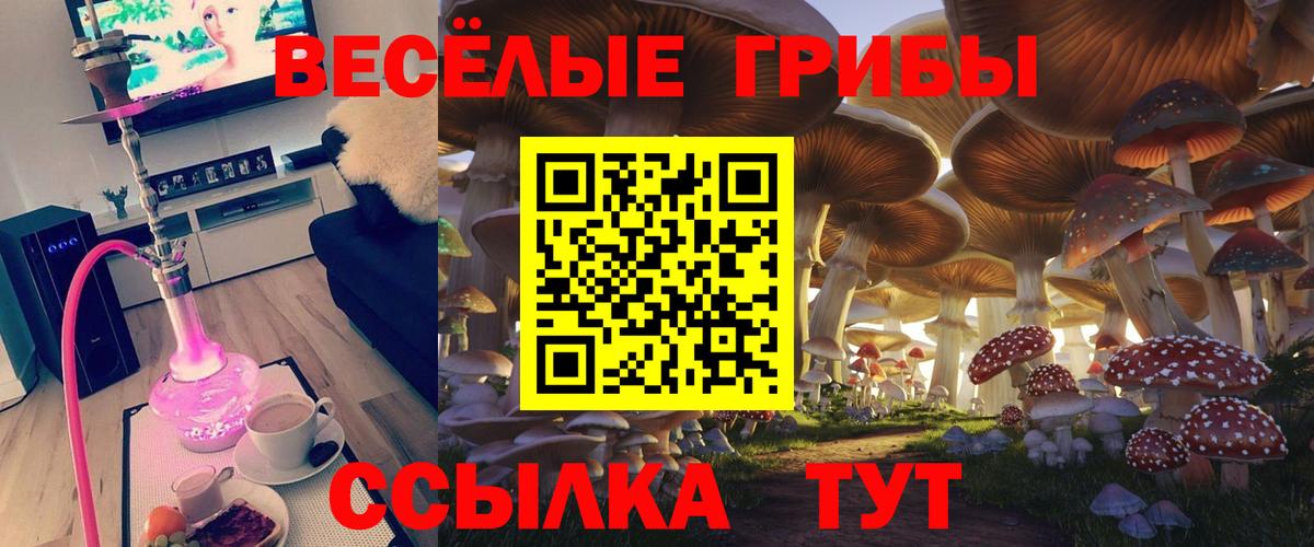 Галлюциногенные грибы GOLDEN TEACHER Снежинск