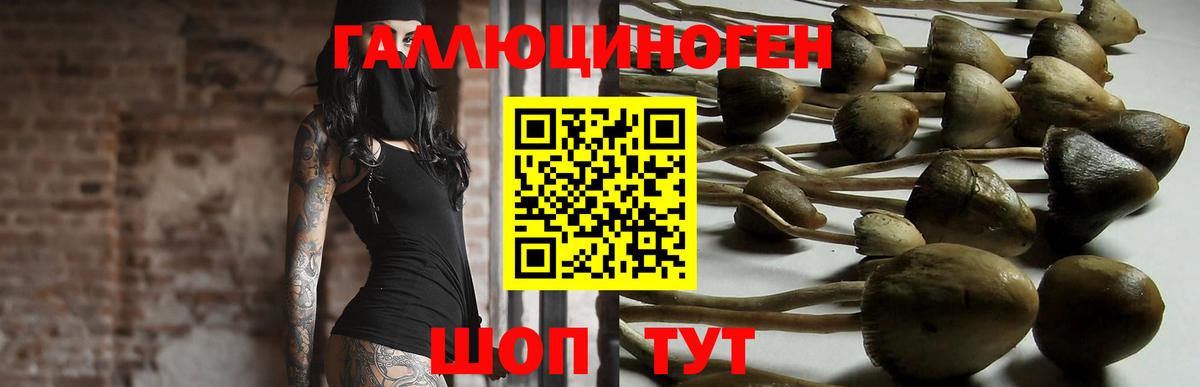 как найти наркотики  Галлюциногенные грибы прущие грибы  Вход с VPN  Галлюциногенные грибы мицелий  Снежинск 