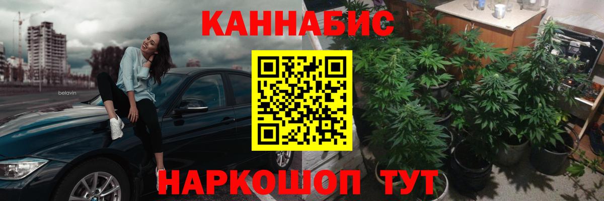 Марихуана тримм  Бошки марихуана планчик  Вход с VPN  Снежинск 